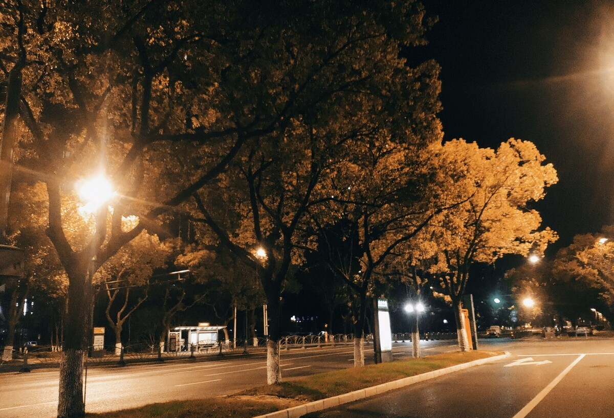 辛夷坞|辛夷坞《应许之日》：终有一天等到你