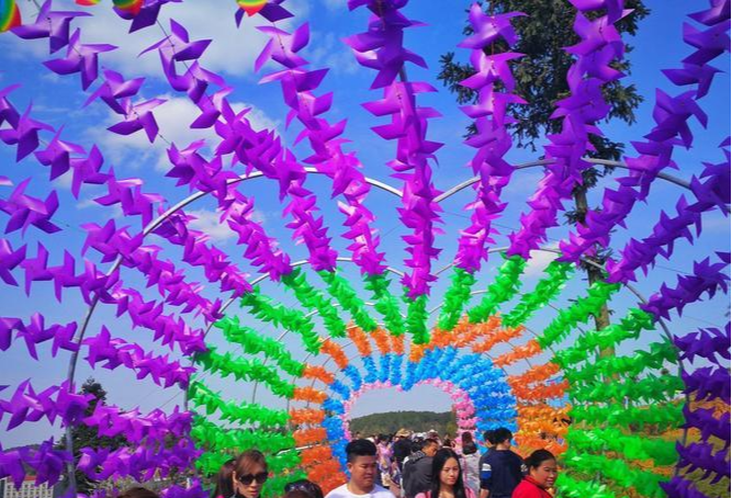 |贵州深山藏有一浪漫花海,在10月还免费,秋日花海之旅赶紧安排