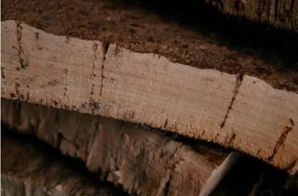 全屋定制为什么不用纯实木?真不是因为贵,而是这6大原因