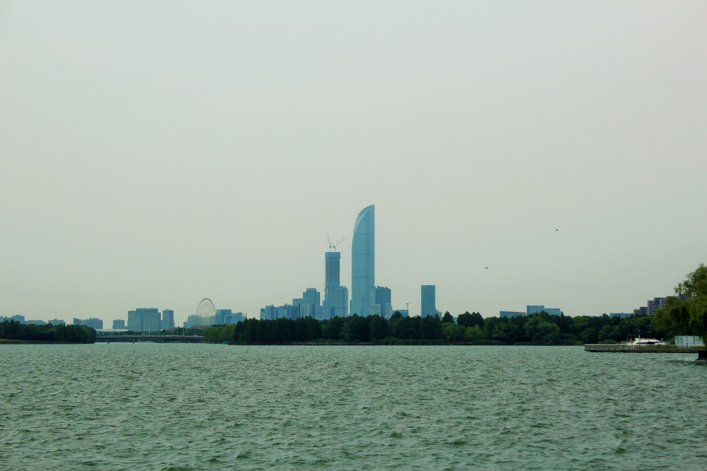 浅谈SAP顾问未来十年在中国的发展前景