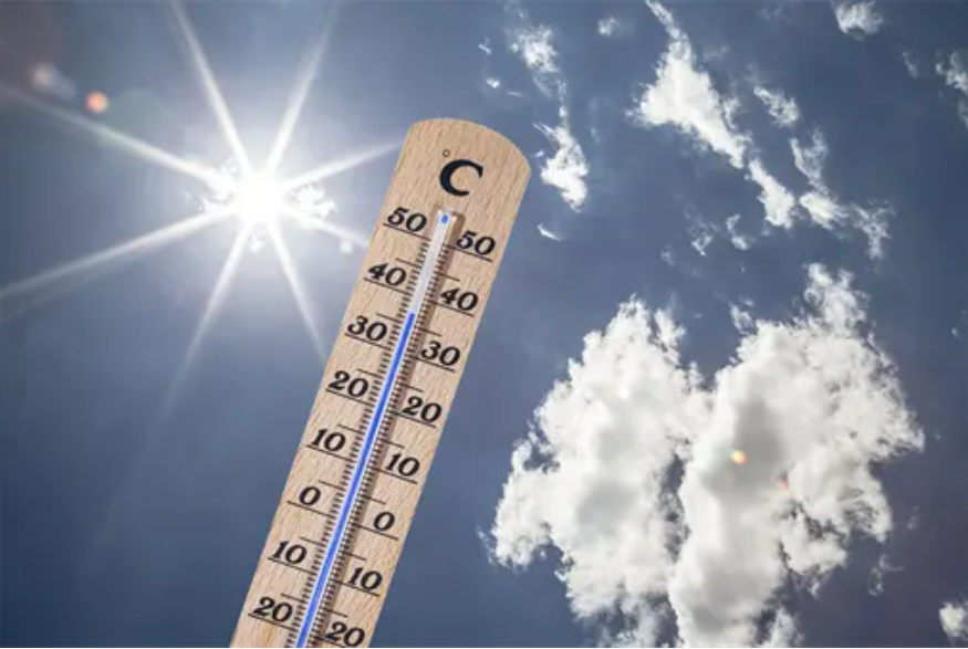 艾灸|中医养生丨为什么夏季要行三伏灸