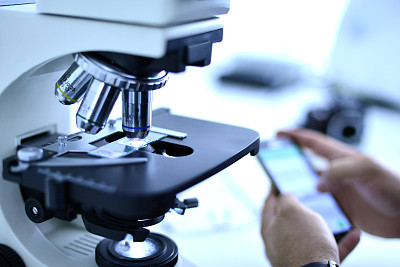 分类学家对生物的分类标准