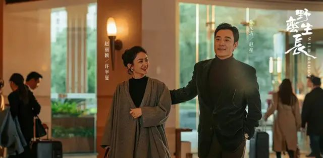 许半夏|《风吹半夏》：身边围着仨男人，许半夏为何只爱赵垒？