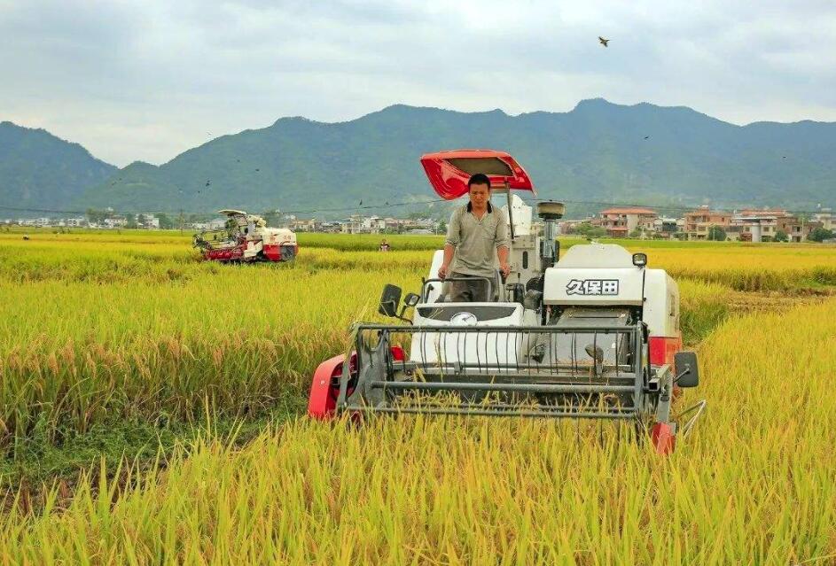 青岛市|如何在农业管理中应用物联网技术