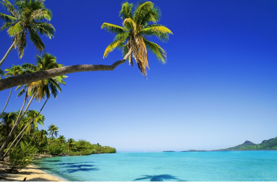 |塔希提作为南太平洋群岛中最大的岛屿，岛上的居民，纷纷以胖为美