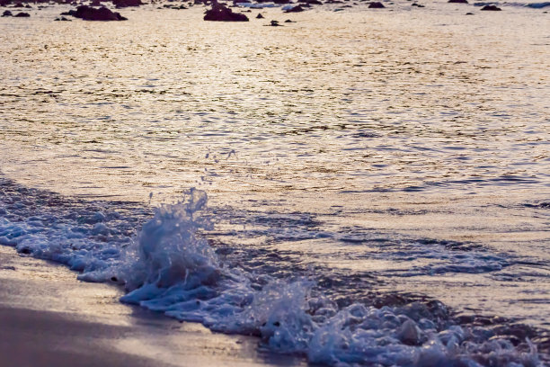 文昌|我国有5个沙岛,其中一个被称为“世界海中第一公园”