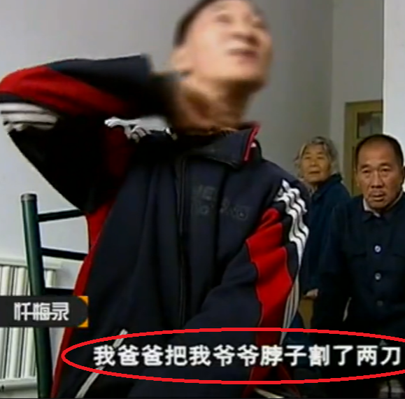2009年河南弑父案:父亲为老不尊欺负脑瘫的儿媳,老实儿子倍感羞辱