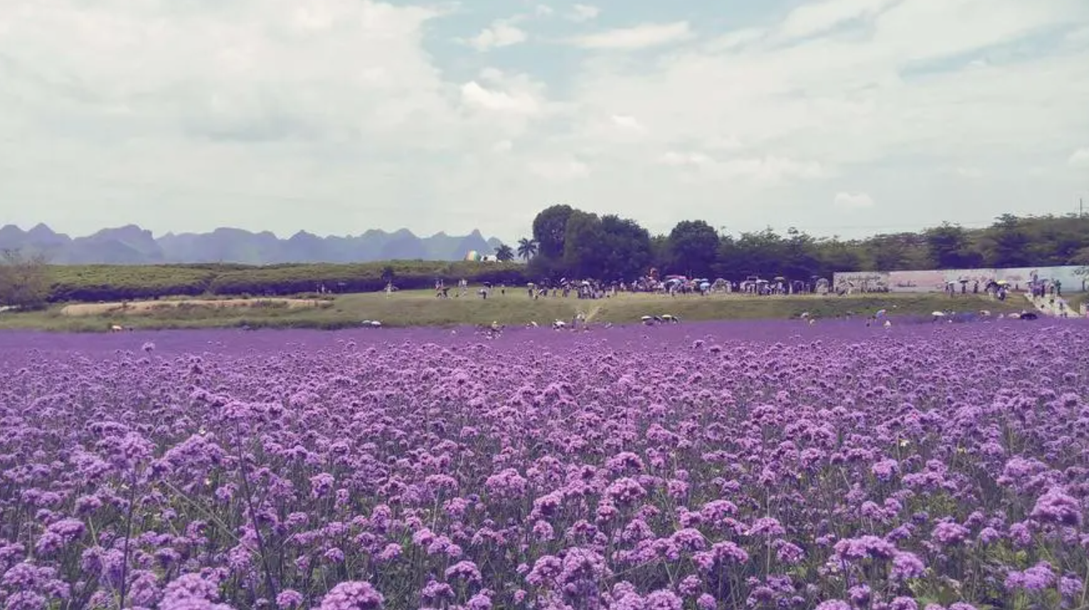 |来宾，你听过但你可能没来过，风景秀丽的城市