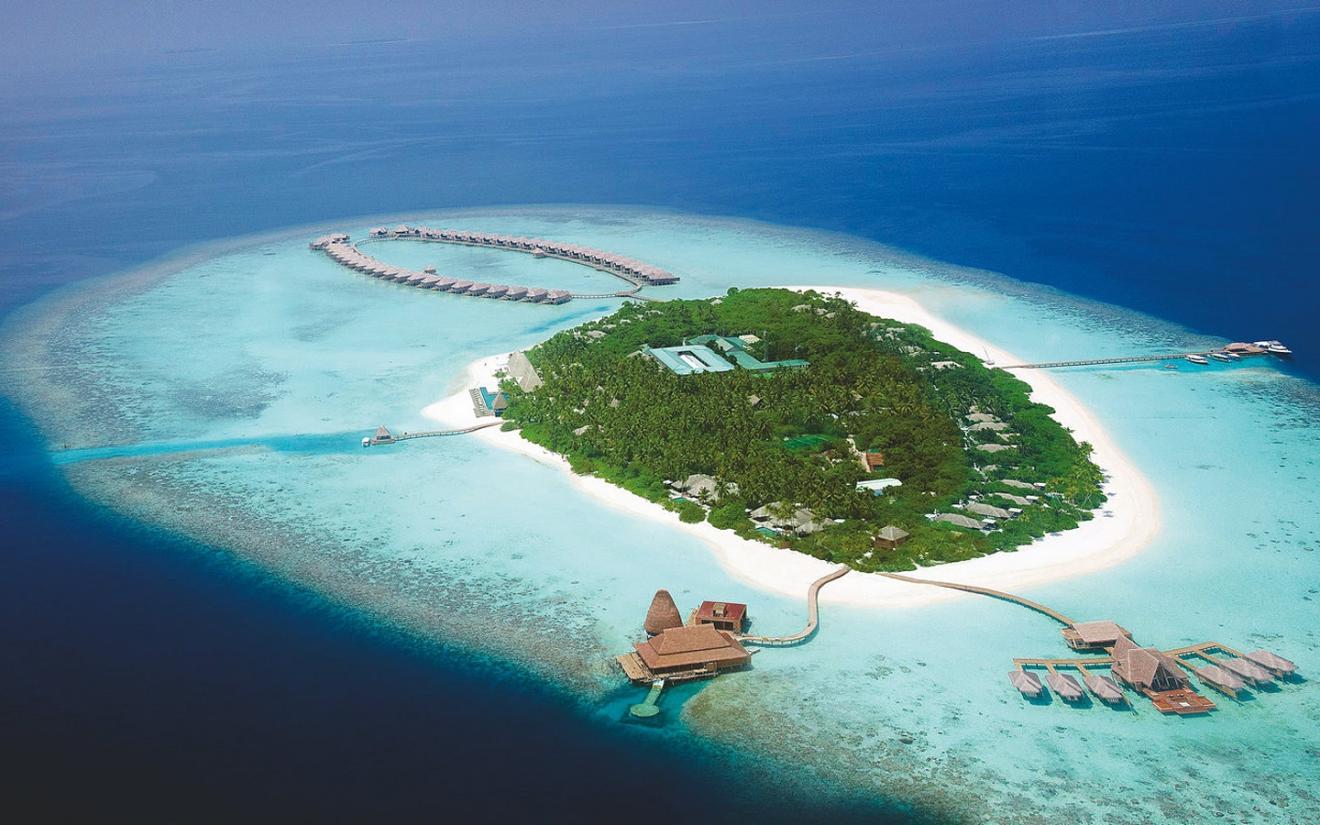 |领导为什么想提拔你？