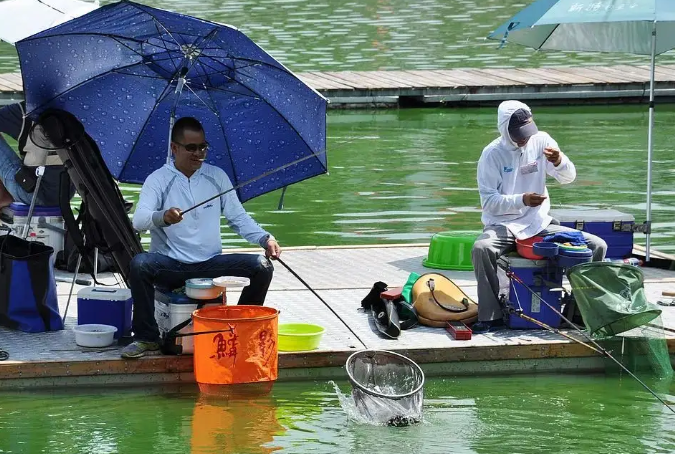 鳊鱼|只要是合法的钓具和钓鱼项目,都可以钓到任何类型的鱼