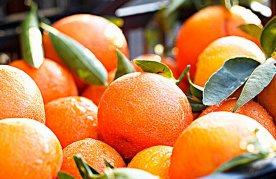 抗癌|水果中的“升压王”已发现,医生提醒:不想血压飙升,趁早远离3种水果