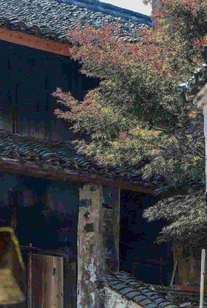 宁波|比南京诗意，比青岛安逸！原来它才是浙江最低调，却最幸福的城市