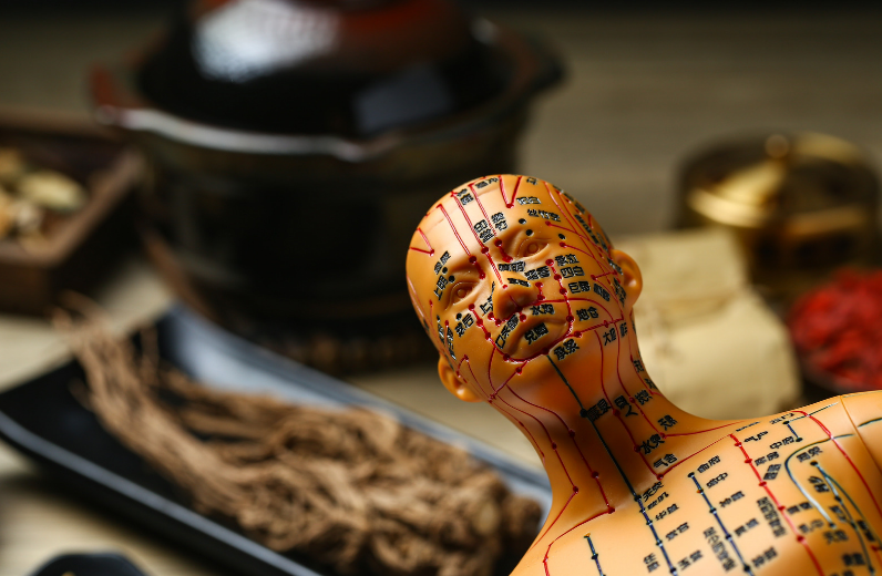 牙齿|牙齿松动归于肾虚!牙龈萎缩归于胃、抓住这2点,牙齿牢固亦健康