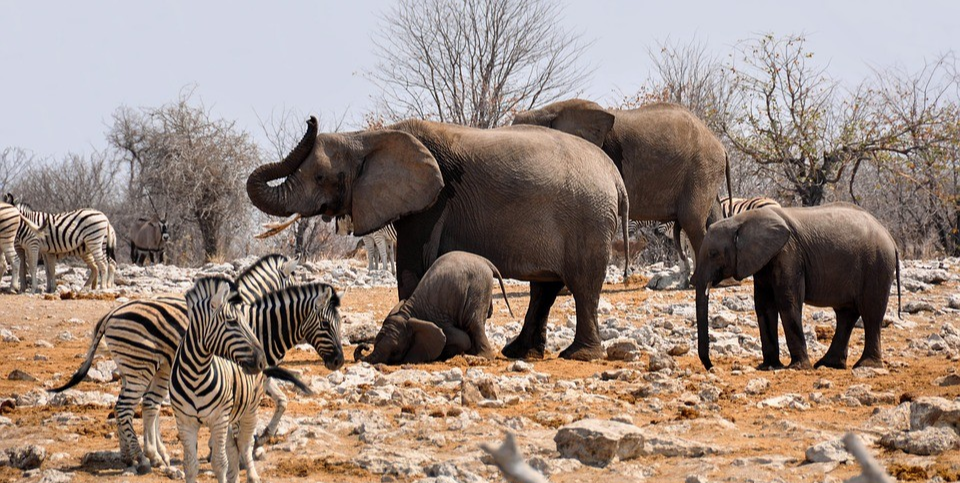 华为|为什么对互联网时代的孩子,你说的话越来越无效?