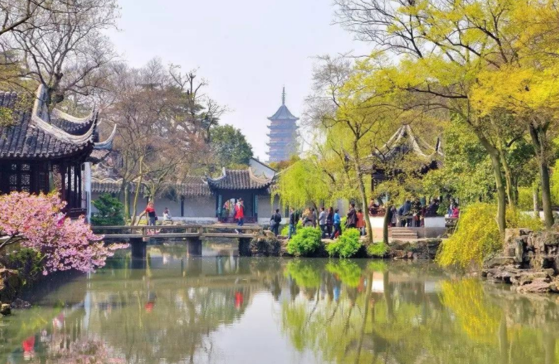 美食|来到苏州玩什么？拙政园漫步江南烟雨，山塘街领略苏州风情
