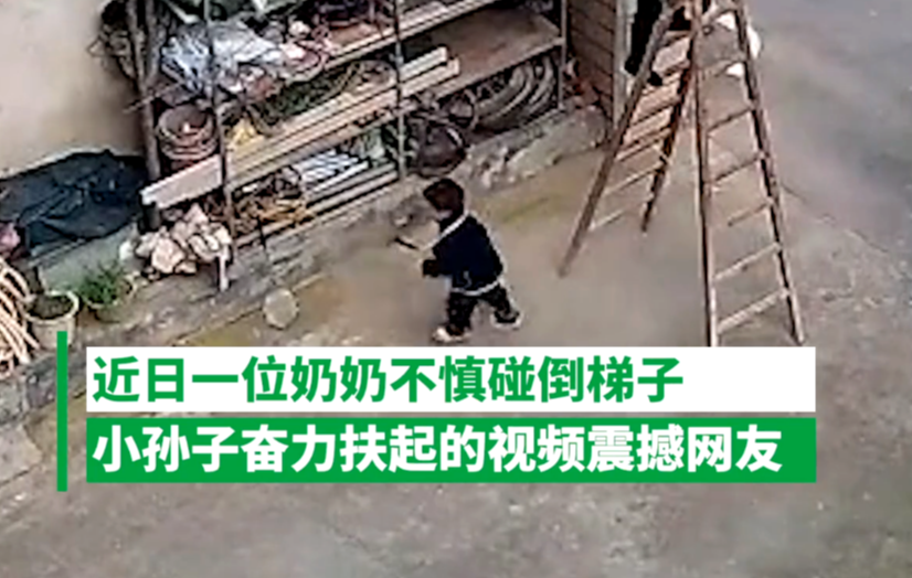 4岁孙子,撑近3米木梯救奶奶,机智!