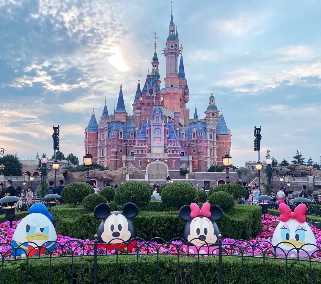 上海市|东方明珠,外滩之城,八十一号