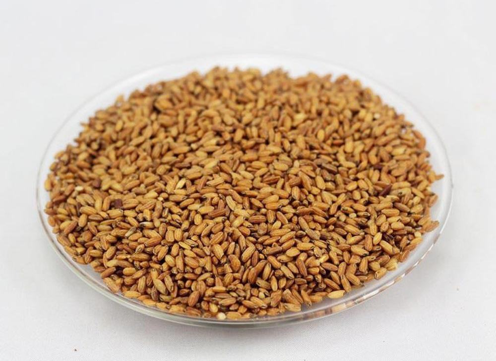 维生素E|用这种米泡茶喝,营养丰富,还能养胃!