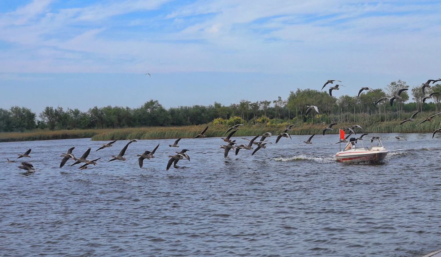 沧州|沧州这个地方，你真的不来看看它的景点吗