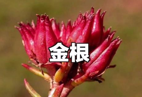 一群人闯入蒙古妖山,遭遇山难,27年后幸存者才讲出当年的细节
