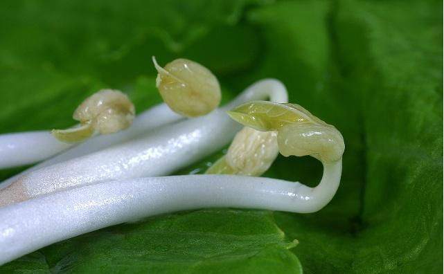 肝功能|肝不好的人,这些食物再馋也要少吃,或许肝功能会慢慢好转