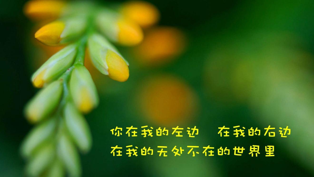 生肖|如何成为一个有格局的人?