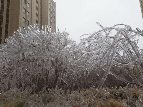 雨夹雪的形成与气压有关吗?