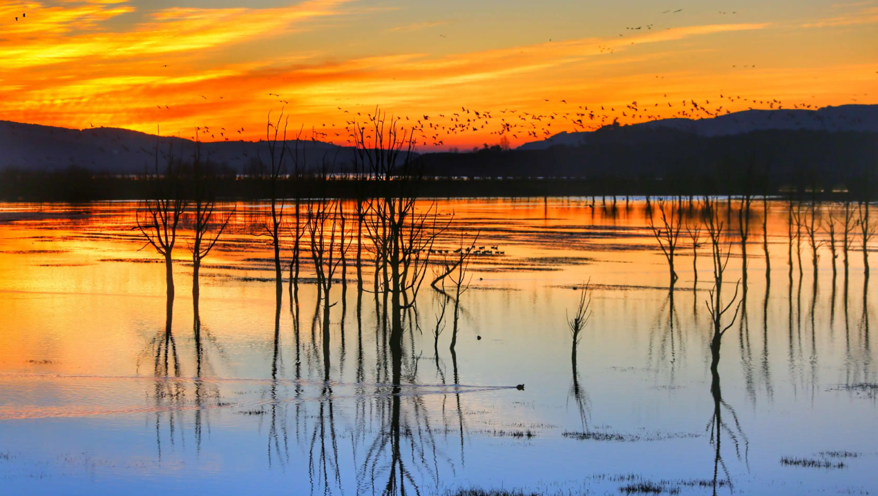 油菜花|曲靖的美景也是有很多的,最出名的就是三月份的油菜花海了,但美景可不止这些