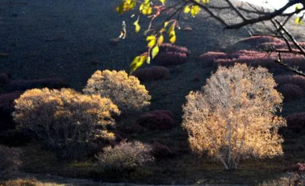 延安|延安，旅红色景点，品幸福生活