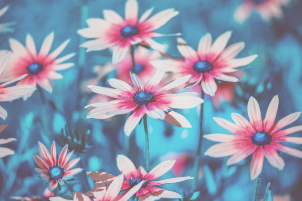 |职场人想要混得风生水起，这四个特质至关重要