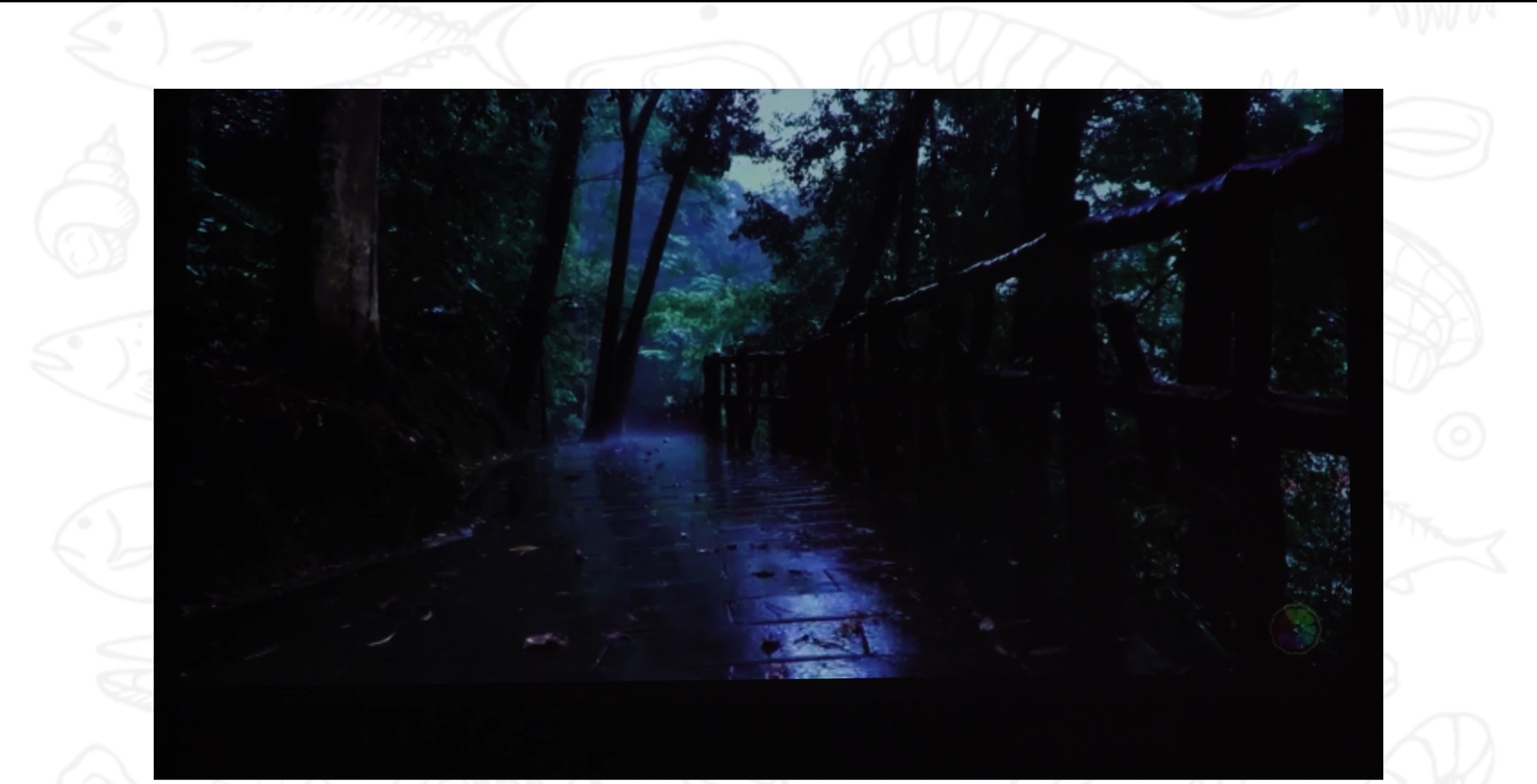 笔记本|投影仪这些创新玩法，你知道吗？