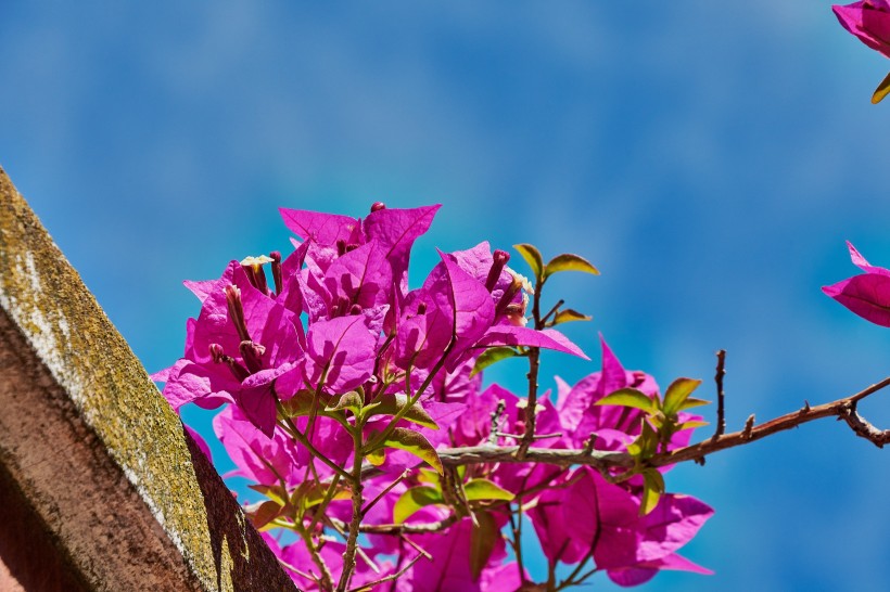 创业|7月,这三个星座喜事来,桃花到,桃花榜上多了一个人