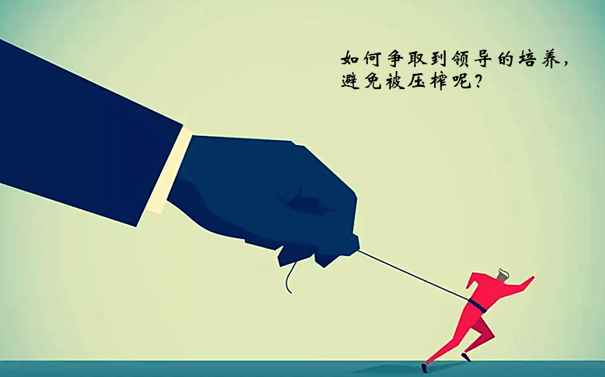 广州市|一文读懂公司领导是在培养你还是在压榨你，建议收藏不吃亏