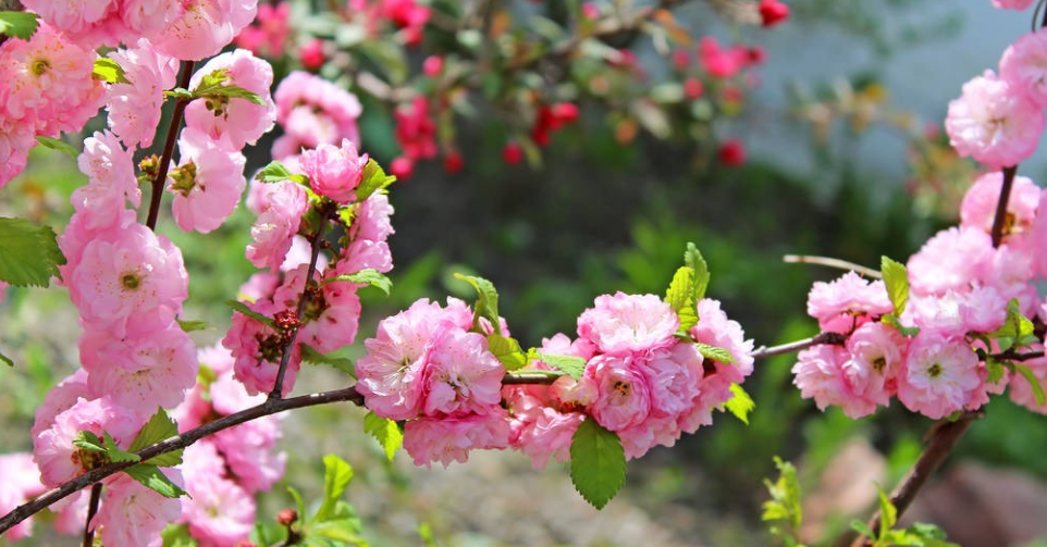 颐和园|东方明珠是上海，北方明珠在哪里？你能猜到吗？