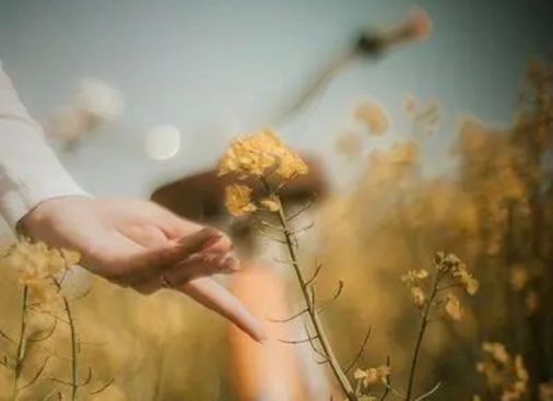 |在职场中，你的气场决定了未来走向