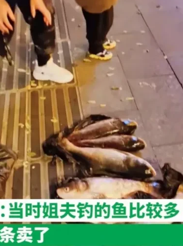 安徽滁州,一女子带着3岁孩子在街头卖鱼,万万没想到萌娃也会做生意
