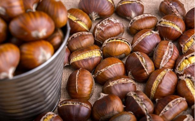 肠胃|它是胃粘膜的“修复器”，经常食用，或许胃一天比一天好