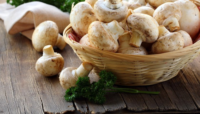 蔬菜|冬季吃什么蔬菜最好