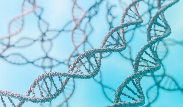 用科学来解释生物进化是从基因到生殖的完整解答。
