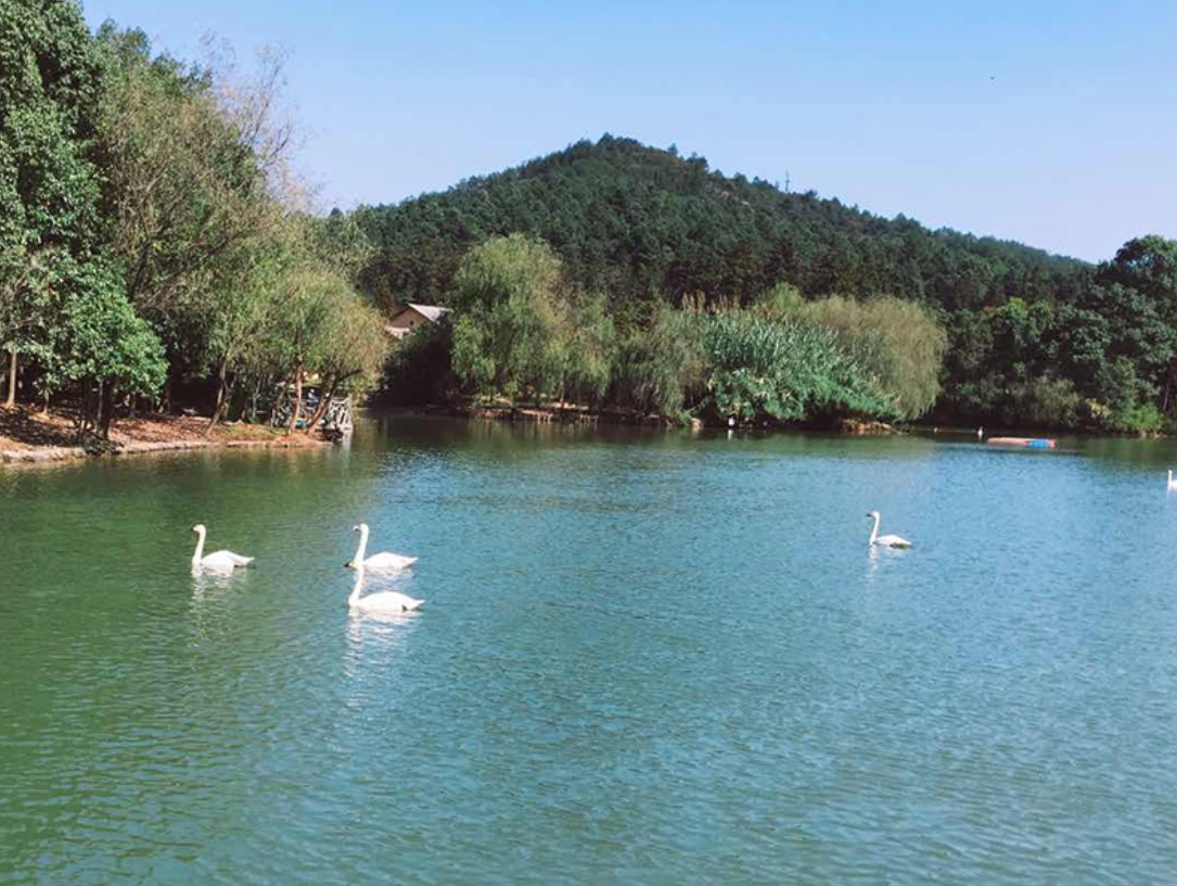湖州|风景优美，烟火气息浓厚的湖州，你爱了吗？（一）