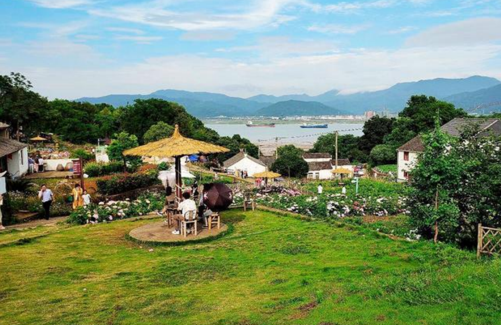 绣球花|浙江宁波骆家坑村，风景美如画，没去过的一定要去！