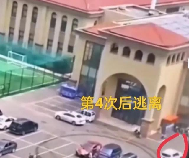 唐山打人第62天,被打女孩没音讯死亡是谣言,央视表态打掉保护伞