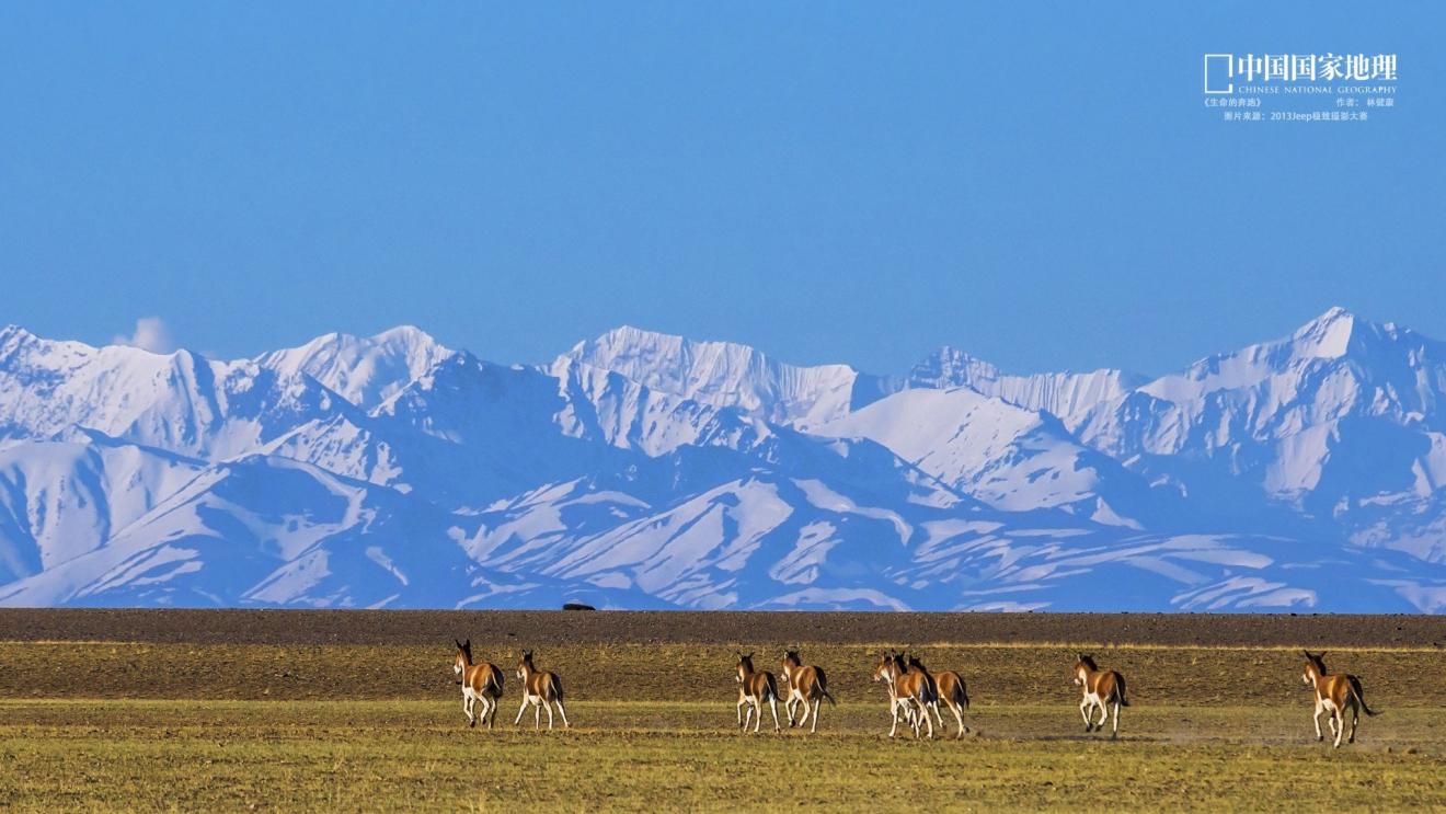 |职场中，自负的人有哪些特点？