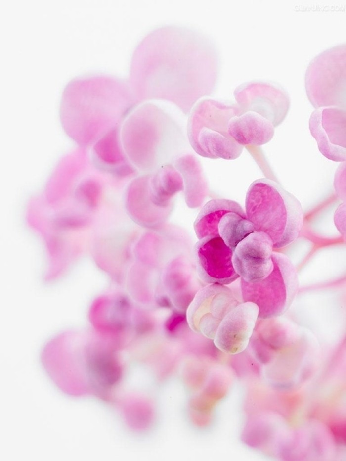 |如何和经理相处才能得到大多数经理的喜欢？