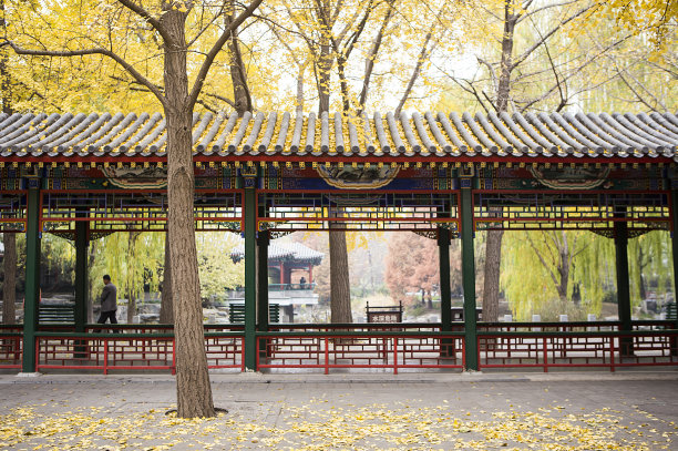 沙滩|中山公园旁是一大片国际文化区，本地人几乎不知道中山公园