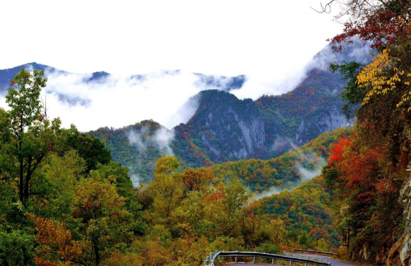 长白山|暑假来临的时候，准备去旅行的人，能选择哪些比较好的避暑
