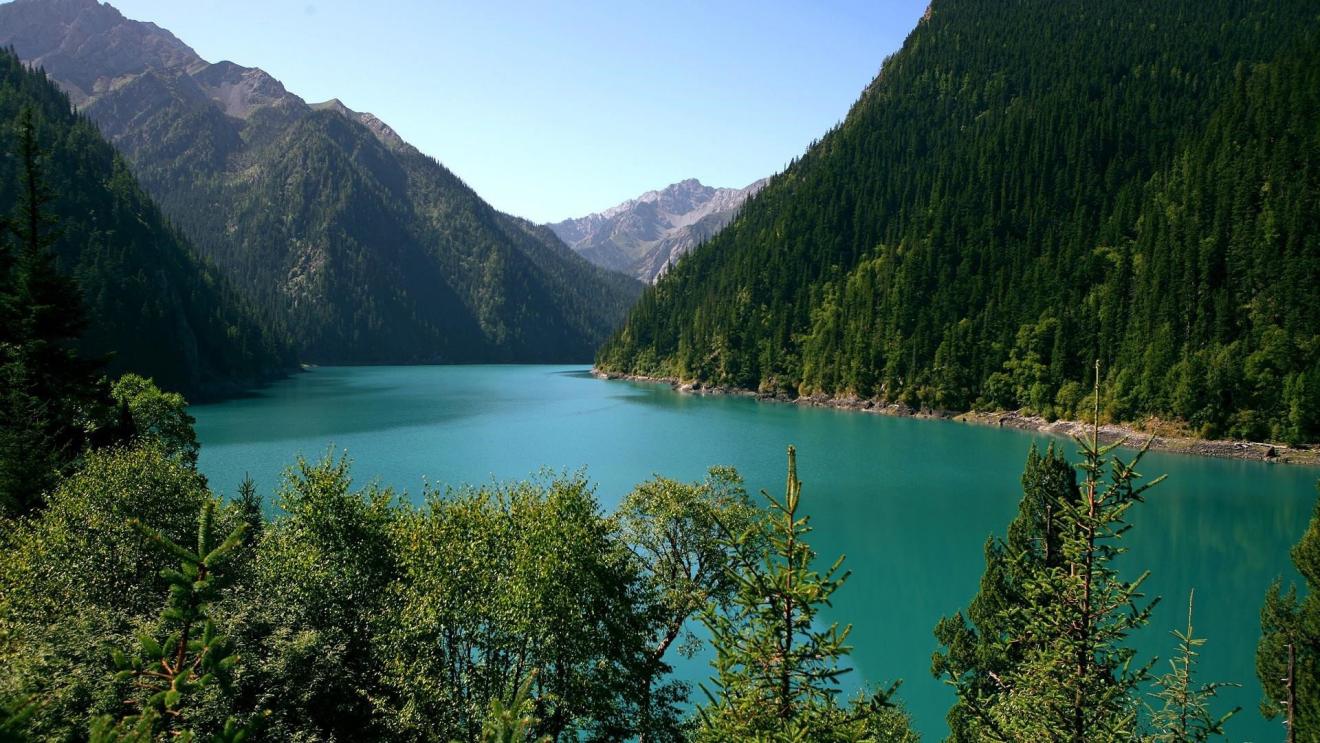 连衣裙|8月桃花花开，收入翻倍，身价暴增，吉人天相，事业运极旺的三大生肖