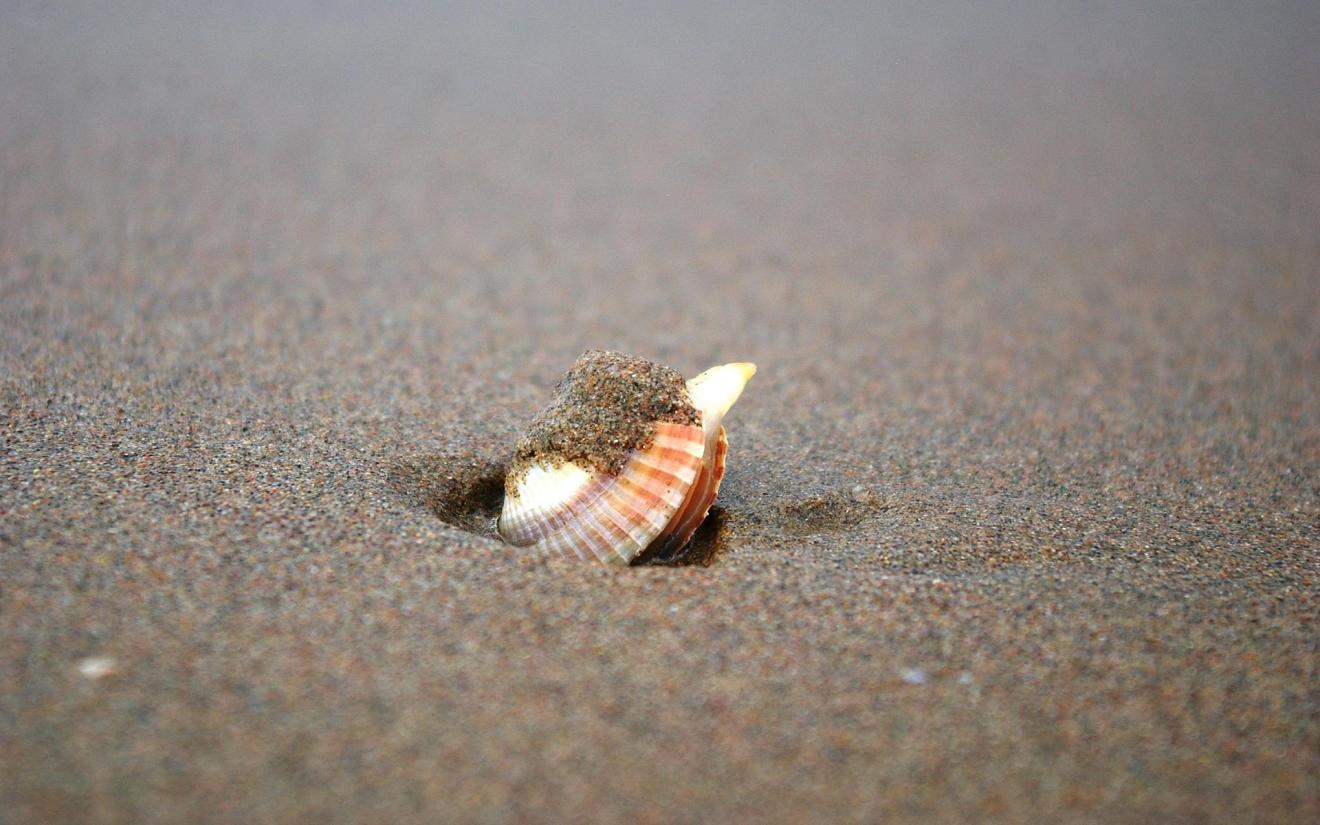 |职场中，如何与同事相处？