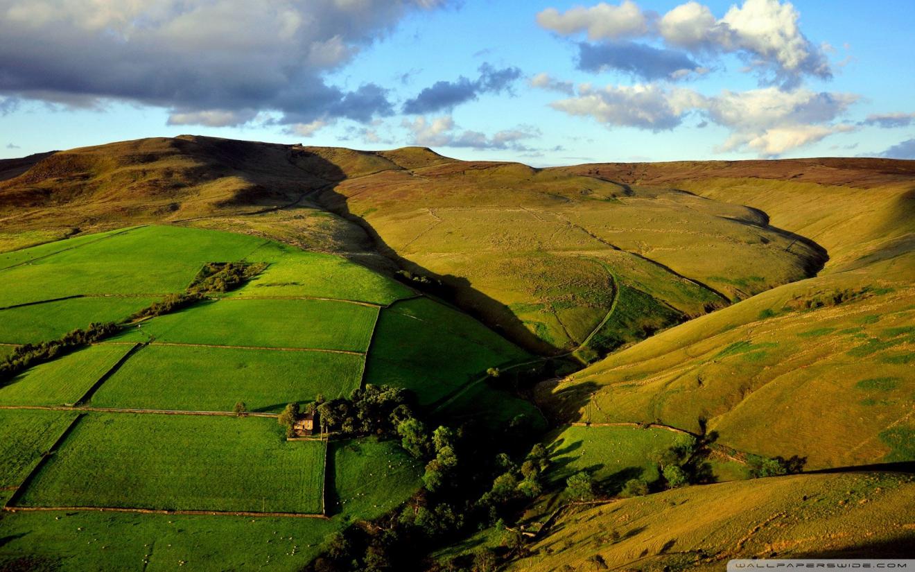 |与领导开会是一种“套路”，只是有些人套路的很“娴熟”