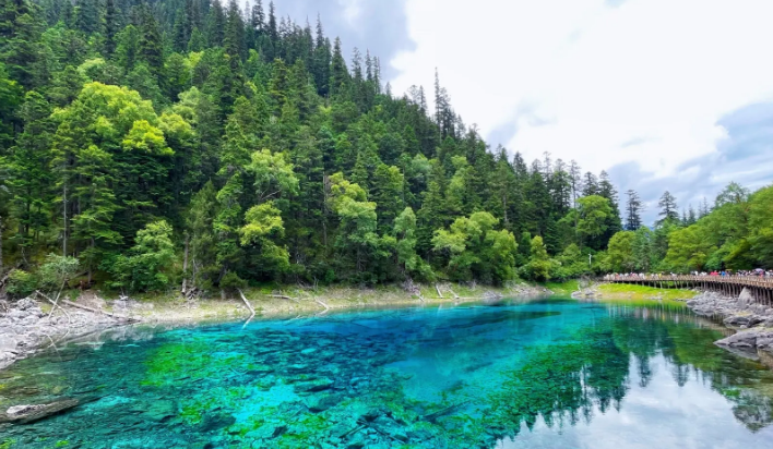 九寨沟|对经济落后的地区，进行旅游开发，其积极作用是应当肯定的